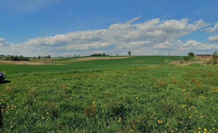 działka na sprzedaż - Pawłowice, Krzyżowice, Szkolna