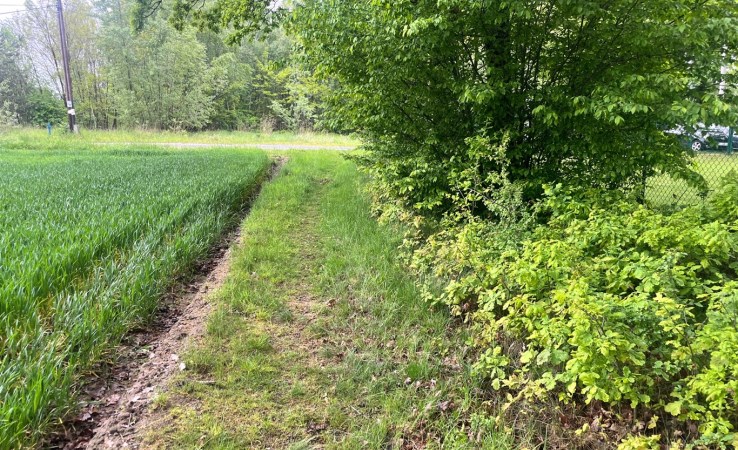 działka na sprzedaż - Jastrzębie-Zdrój, Borynia, Plebiscytowa